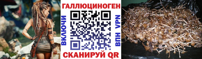 Псилоцибиновые грибы прущие грибы Щигры